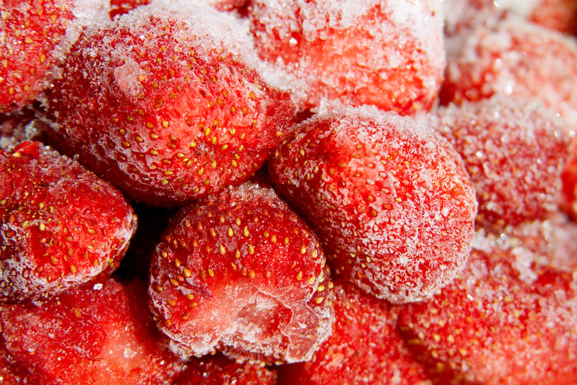Frozen food shipping ship tips ice packs dry
